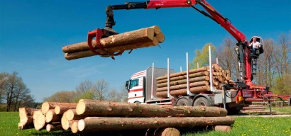 Бесплатная разгрузка дров